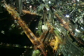 横浜夜景
