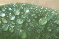 雨粒