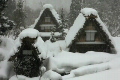 雪が降る白川郷荻町