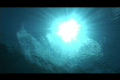 水中の木漏れ日