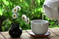 緑茶