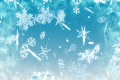 雪の結晶