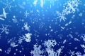 雪の結晶