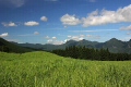 曽爾高原と曽爾の山並み