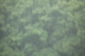 雨降り