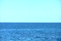 2005444