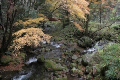 紅葉と小川