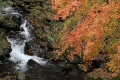 紅葉と小川