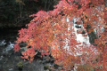 紅葉と小川