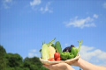 空背景の女性の手とザルに入れた夏野菜