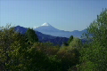 新緑の木々と山と富士山（清里から）