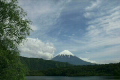 新緑の西湖と富士山と雲