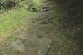 熊野古道