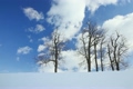 冬景色、流れのはやい雲