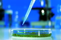 Medical Science