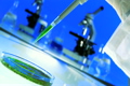 Medical Science