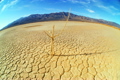 ENERGY &amp; ENVIRONMENT
