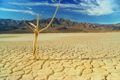 ENERGY &amp; ENVIRONMENT