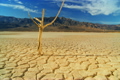ENERGY &amp; ENVIRONMENT