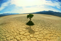ENERGY &amp; ENVIRONMENT