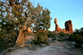 TRAVEL &amp; ENVIRONMENT