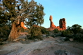 TRAVEL &amp; ENVIRONMENT