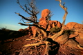 TRAVEL &amp; ENVIRONMENT