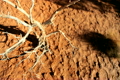 TRAVEL &amp; ENVIRONMENT