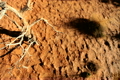 TRAVEL &amp; ENVIRONMENT