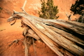 TRAVEL &amp; ENVIRONMENT
