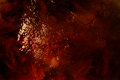 Time Lapse 0408