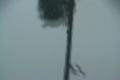 Hurricane Winds blowing Debris