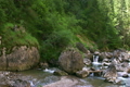 River in the forest