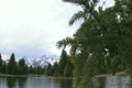 Branch Tilt to Grand Tetons
