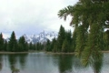 Tetons Pond and Branch