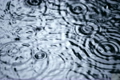 Raindrops