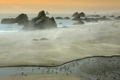Fog rolling in at the beach 