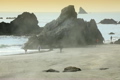 Fog rolling in at the beach 
