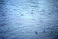 Raindrops