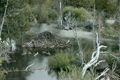 Beaver pond Wyoming P HD 3281