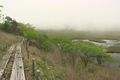 八島湿原