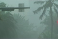 Heavy Rain