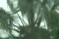 Hurricane Rain