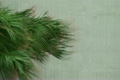 Palm Tree in Wind