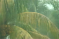 Thunder Storm 