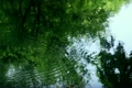 水面