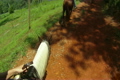 Horseback Riding 