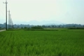 夏の田園