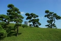 浜離宮恩賜庭園の風景