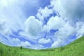 草原と2層の雲